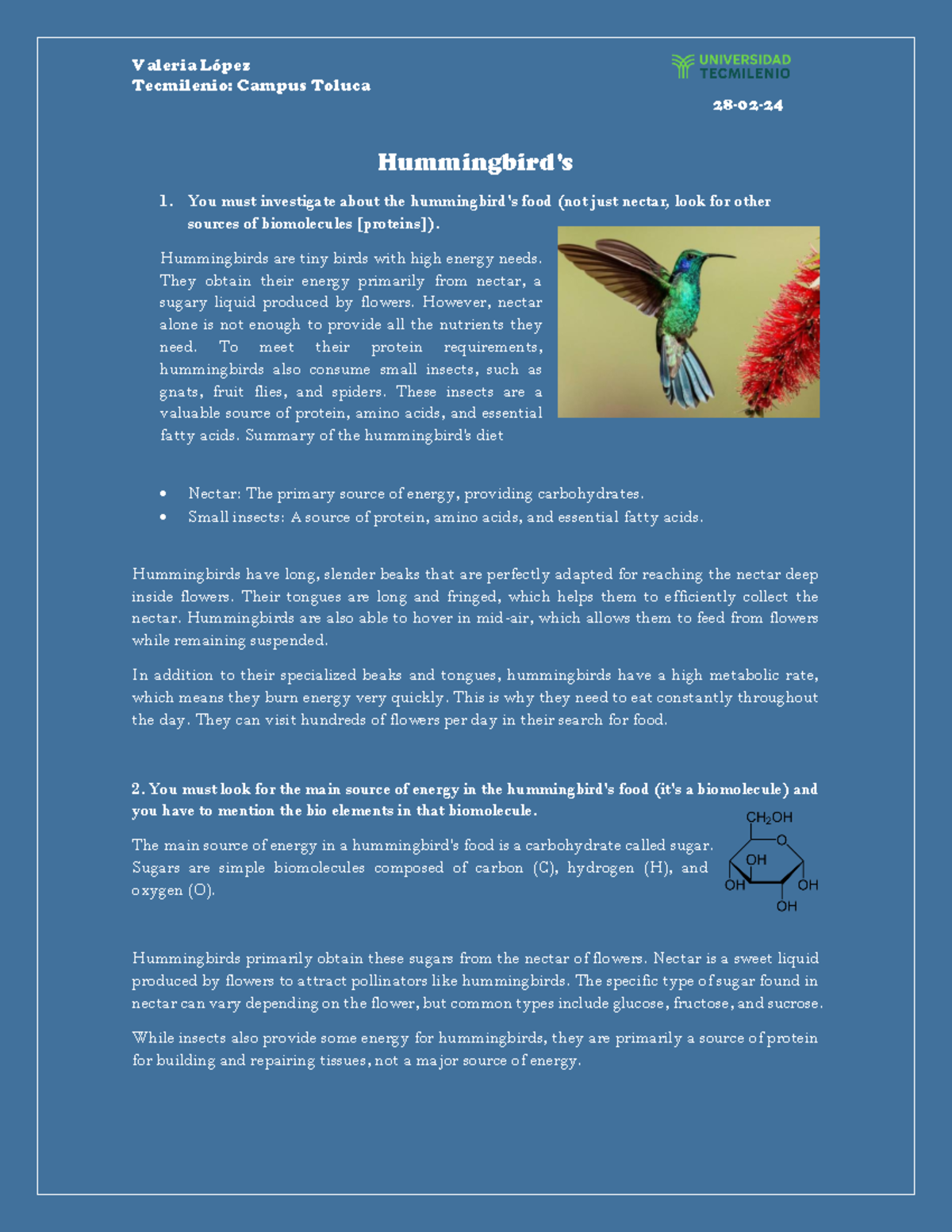 Hummingbird 1 - ejercicio 1 - Tecmilenio: Campus Toluca 28 - 02 - 24 ...