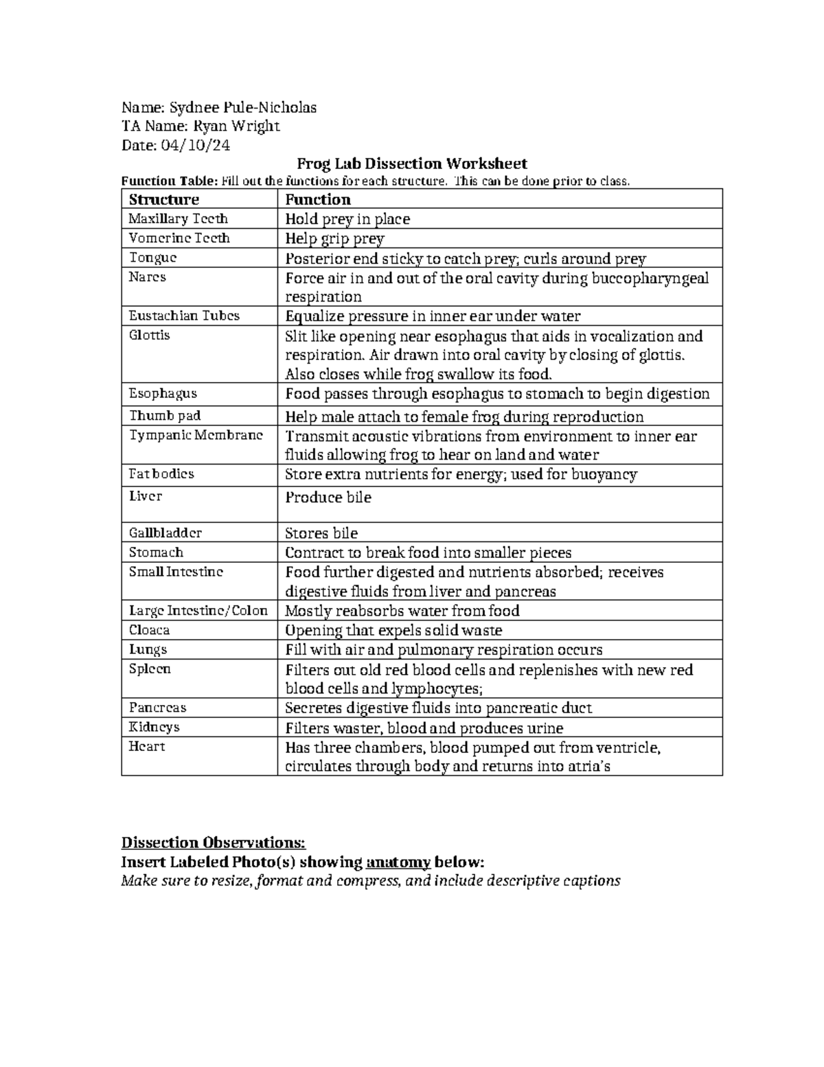 Frog Lab Worksheet Name Sydnee PuleNicholas TA Name Ryan Wright