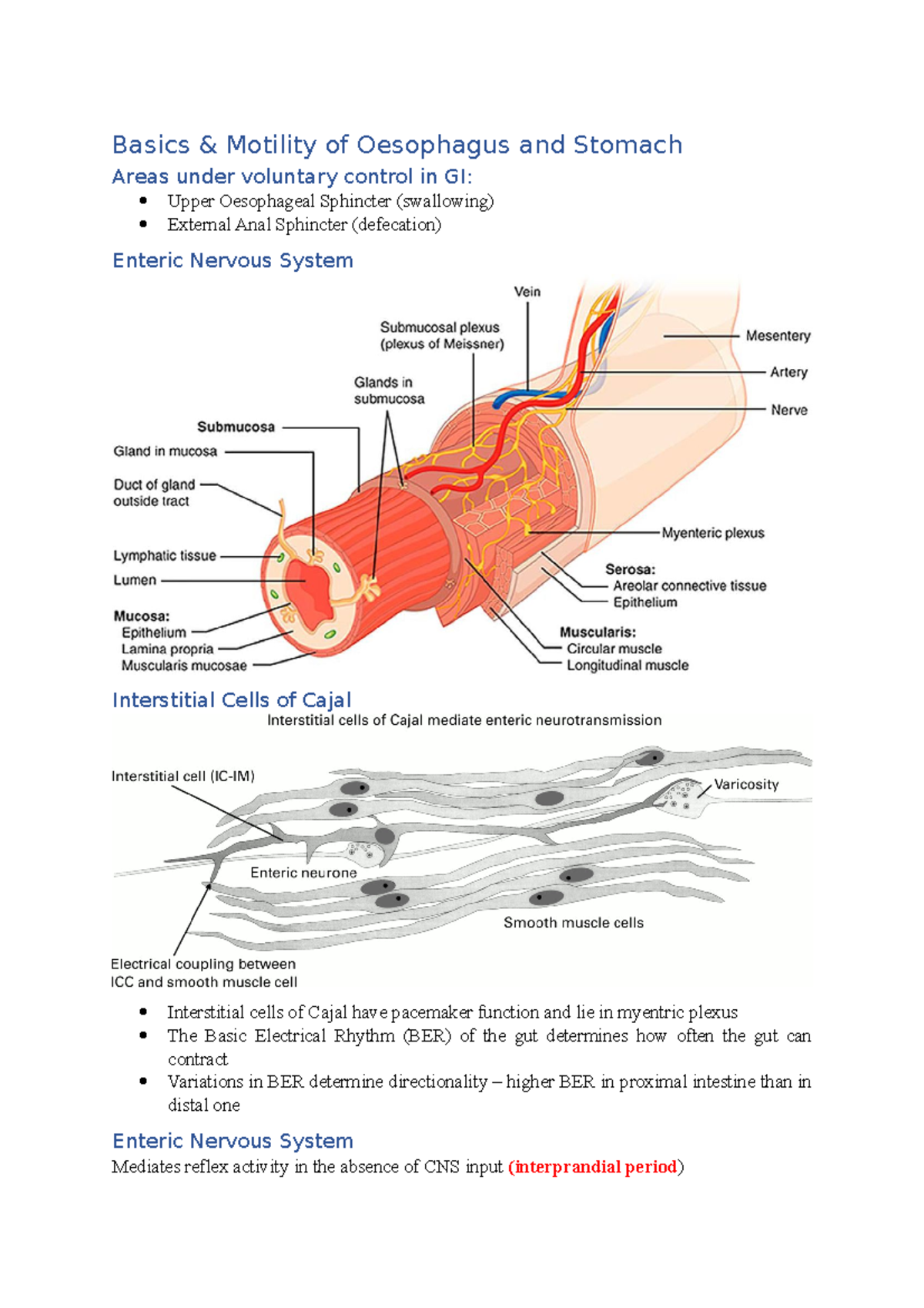 GI physiology and gut motility Basics & Motility of Oesophagus and