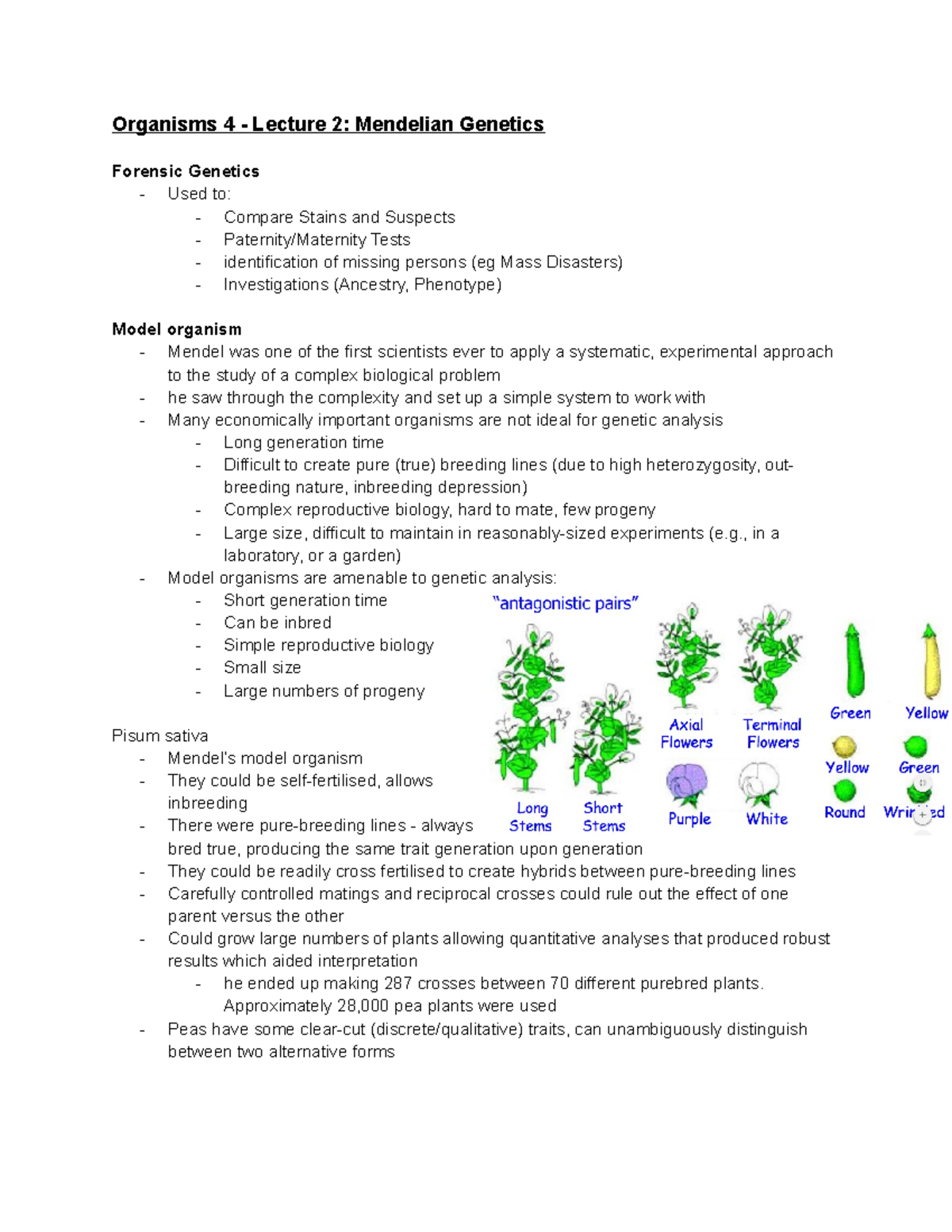 Genes 2 Lecture 2 Mendelian Genetics Organisms 4 Lecture 2   Thumb 1200 1553 