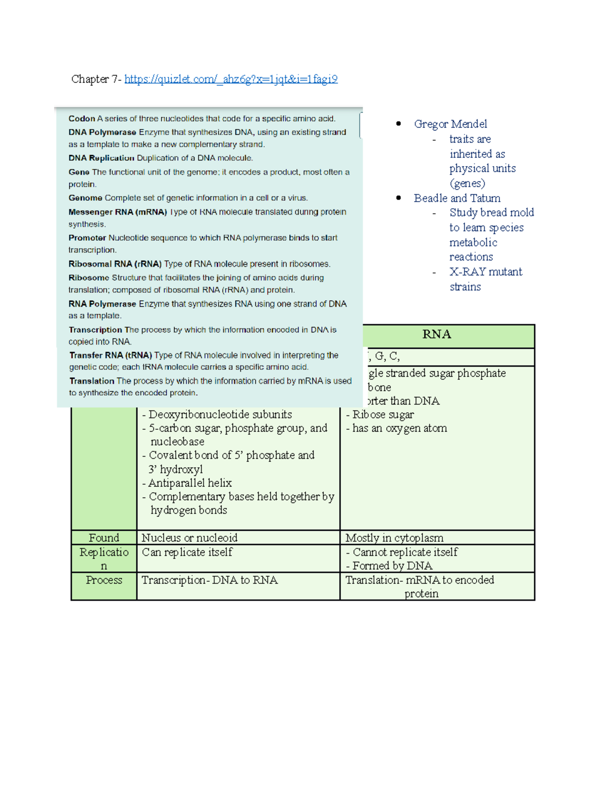 Exam 2 micro Chapter 7 quizlet/_ahz6g?x=1jqt&i=1fagi Gregor Mendel