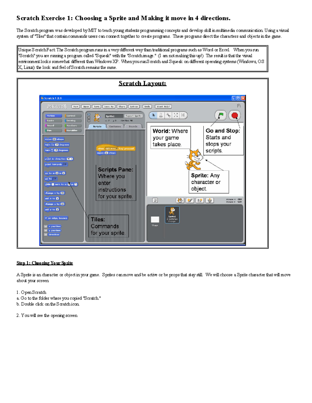 Introduction to scratch exercise 1 - Scratch Exercise 1: Choosing a ...