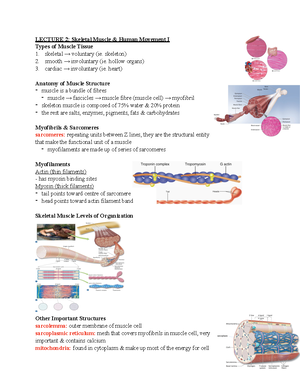 ex Phys final exam notes - 2230 final exam notes Hormonal control ...