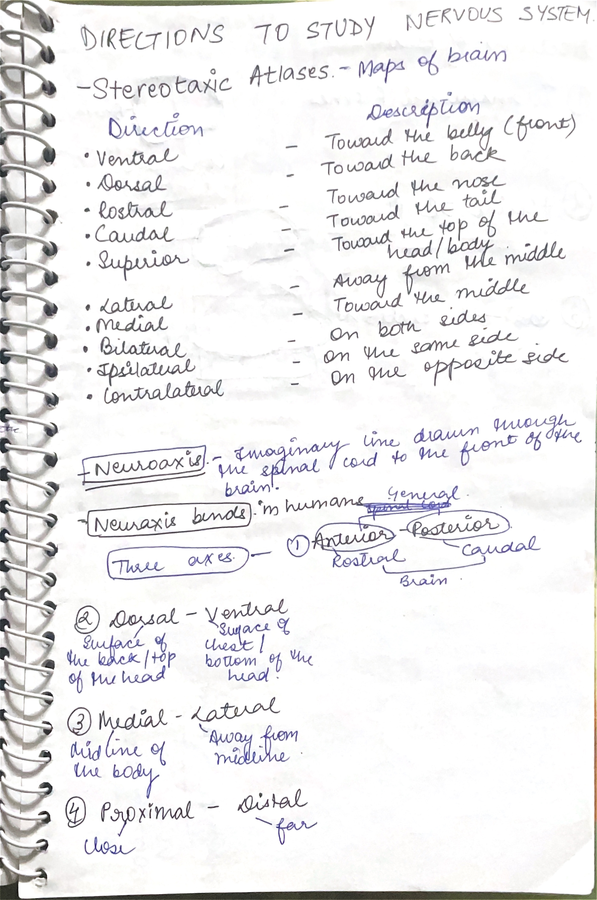 Directions to study nervous system - DIRECTIONS TO STUDY NERVOUS SYSTEM ...