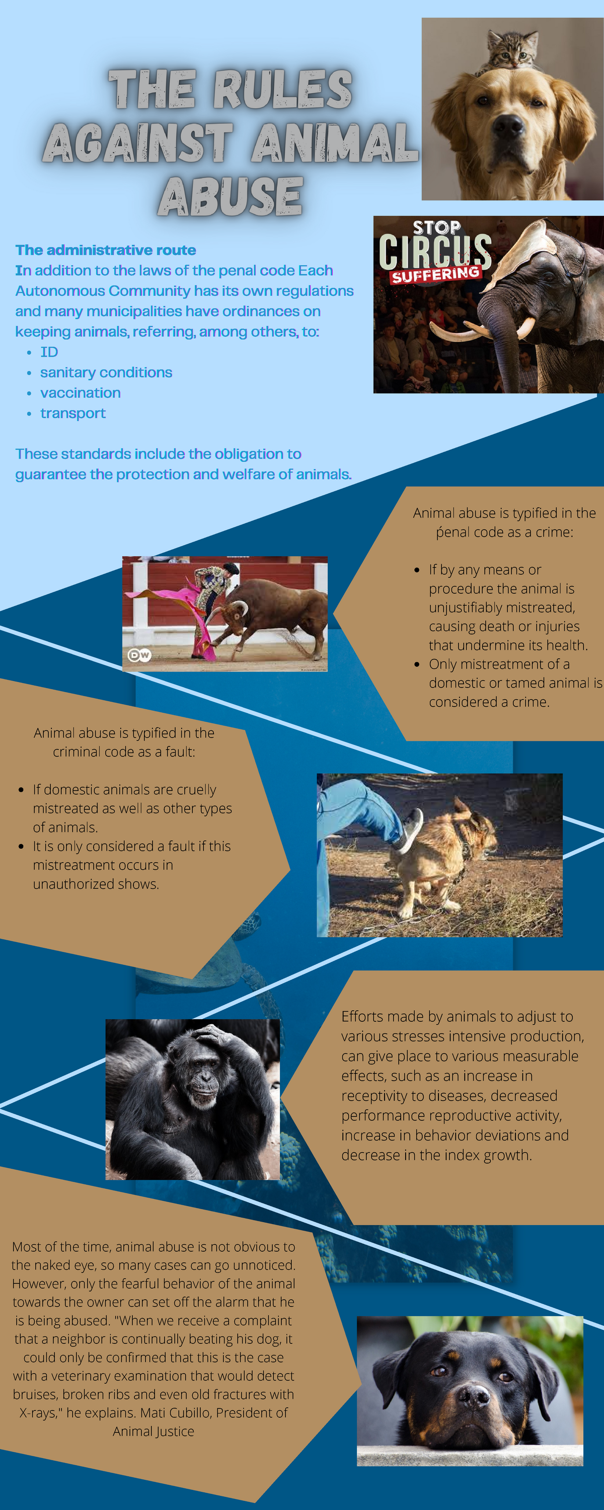 The rules against animal abuse - IDIDID sanitary conditionssanitary  conditionssanitary conditions - Studocu