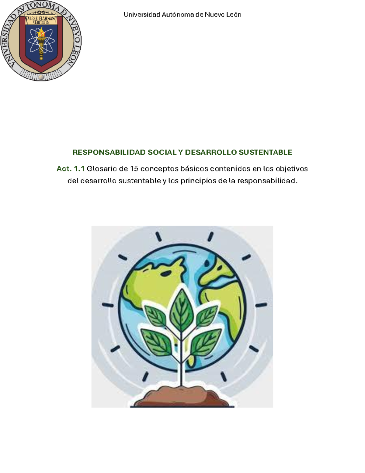 1 1 Responsabilidad Social Y Desarrollo Sustentable Responsabilidad