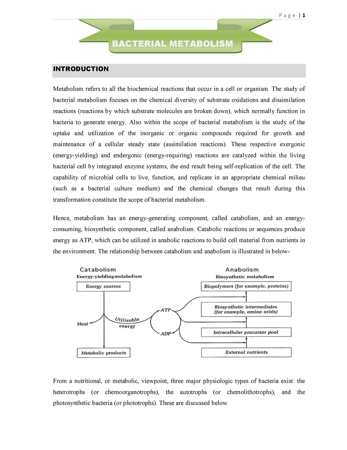 Introduction To The Metabolic Activities Of Bacteria - Bacteriology ...