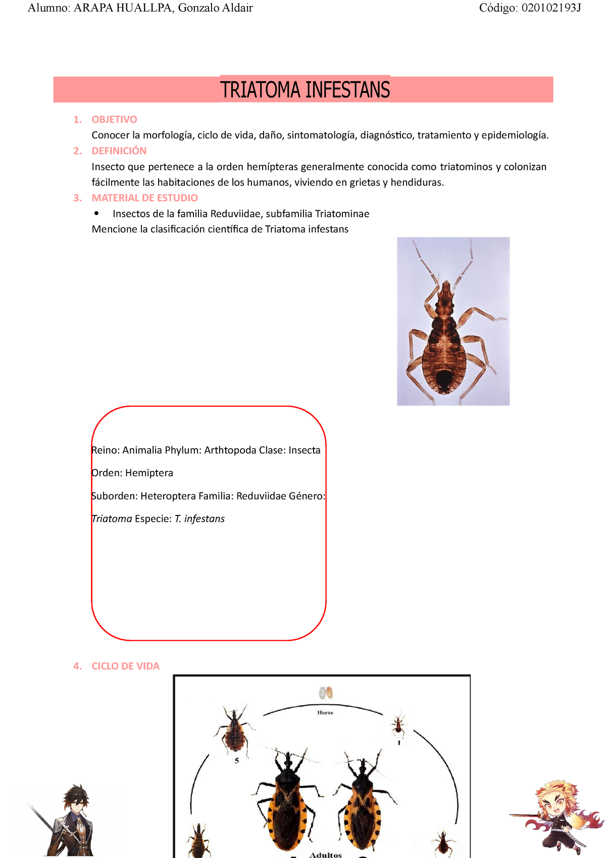 triatoma-infestans-d-pteros-parasitolog-a-triatoma-infestans-1