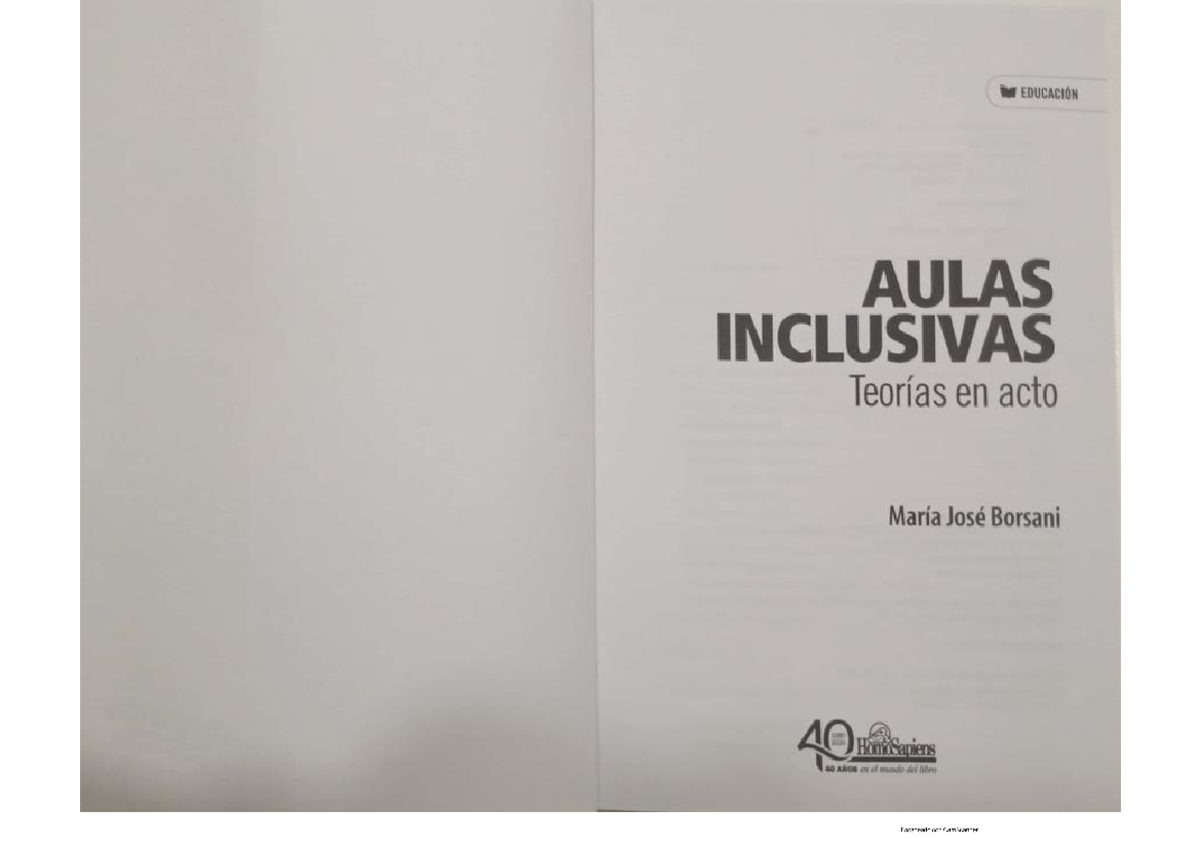 Borsani, Maria Jose - Aulas inclusivas- teorias en acto - incompleto
