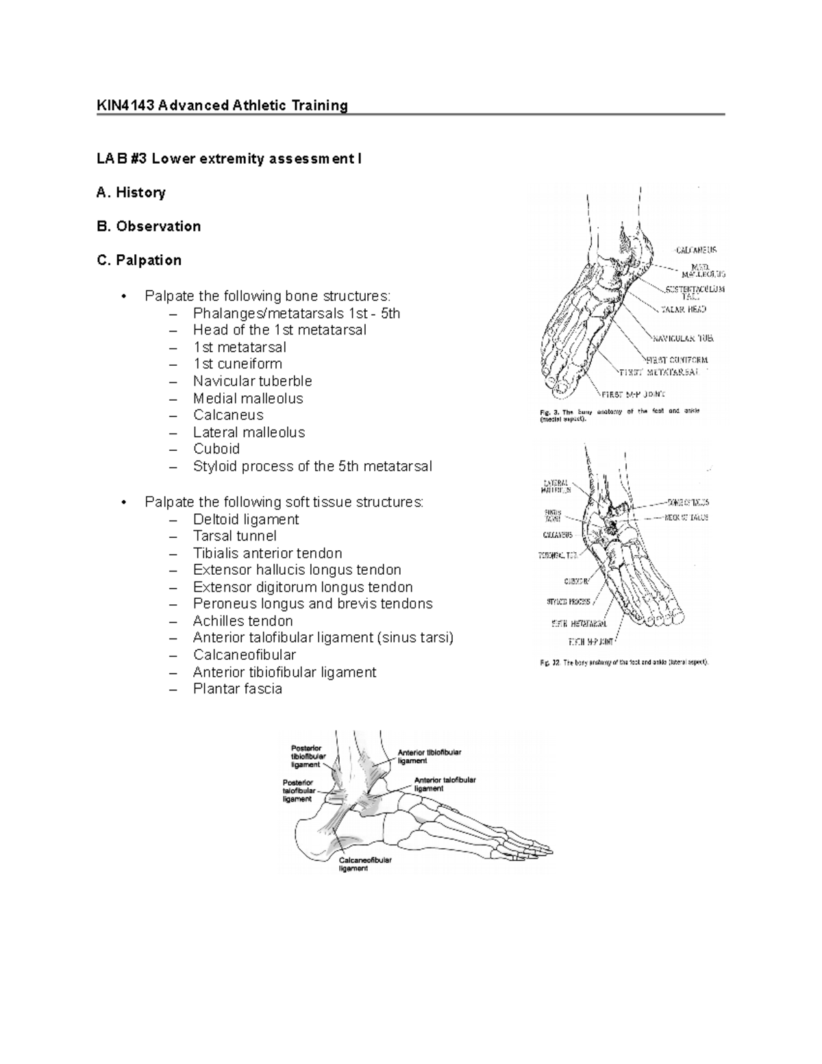 Lab3 Lab for Evaluation of Athletic Injuries, understanding certain