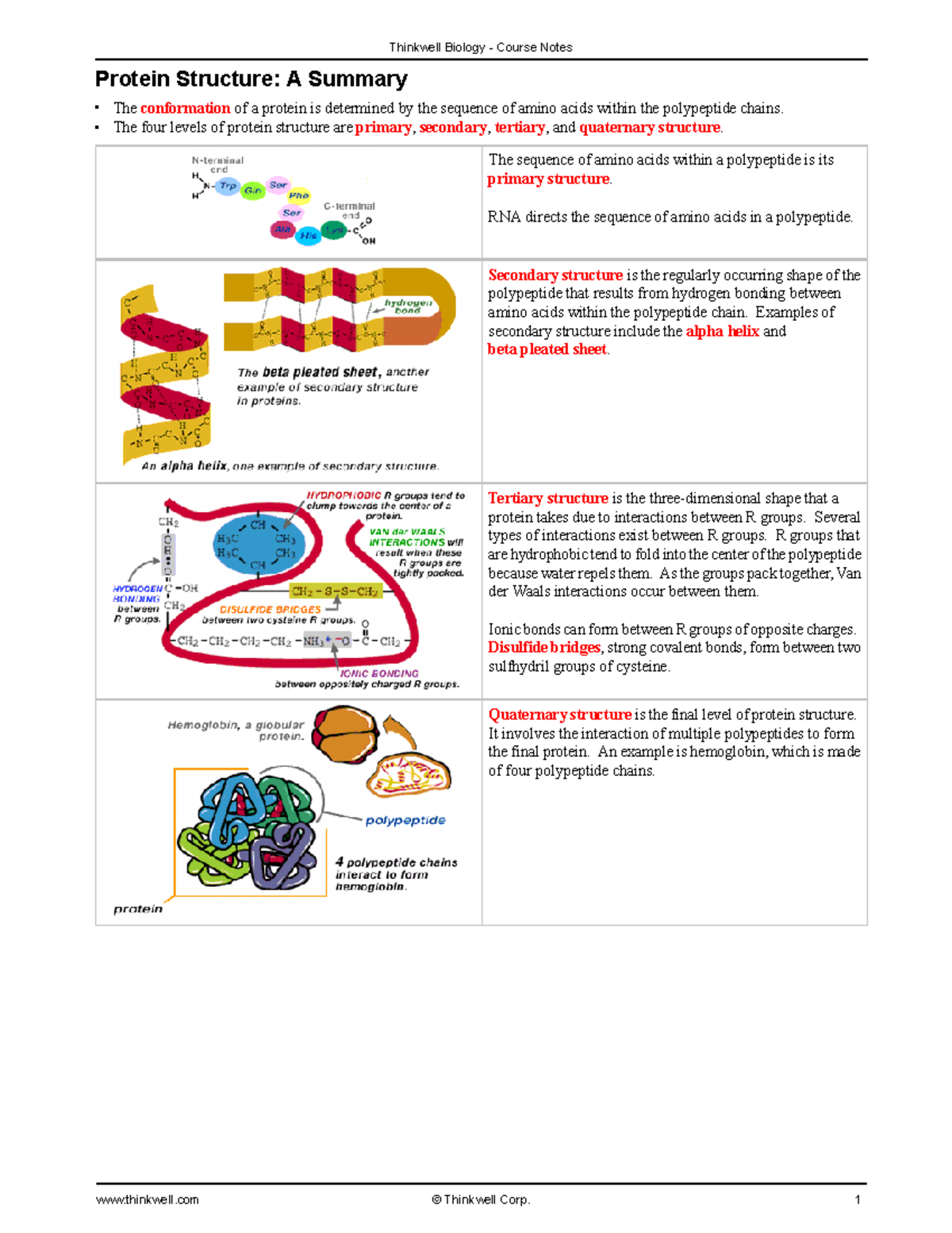 assignment on protein