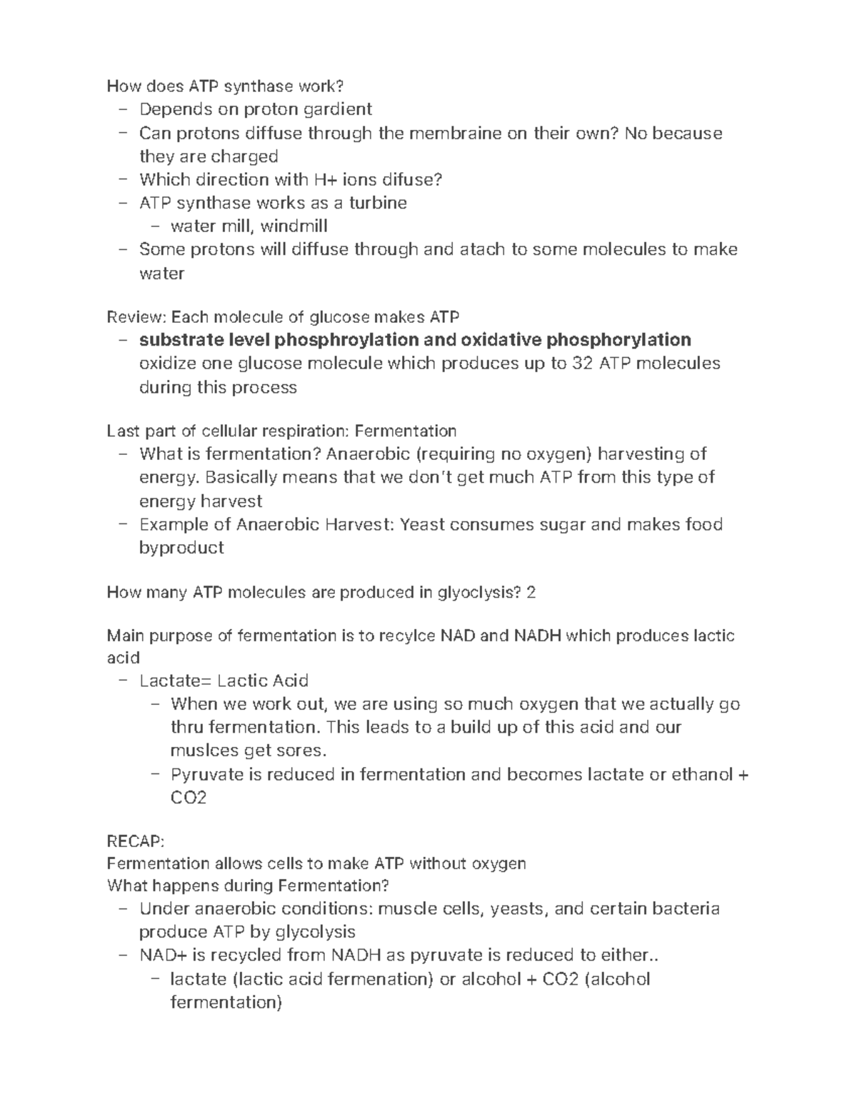 how-does-atp-synthase-work-how-does-atp