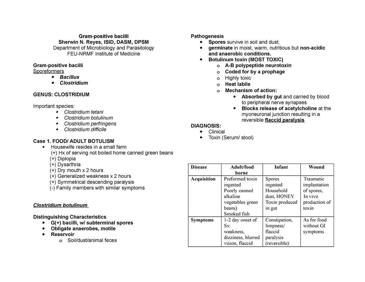 gram-positive-bacilli-handout-gram-positive-bacilligram-positive