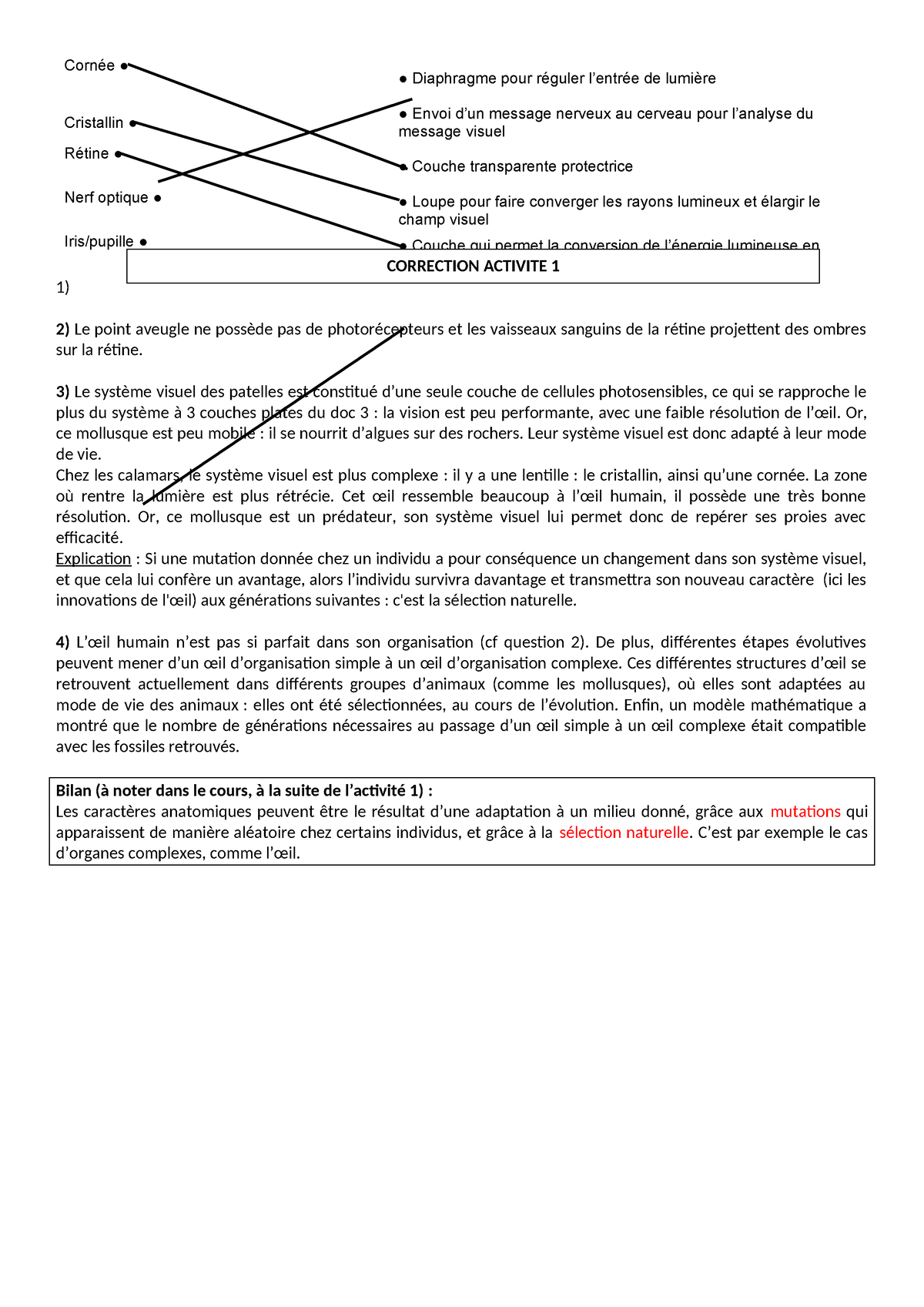 Correction activit Ã© 1 - Cornée Diaphragme pour réguler l’entrée de ...