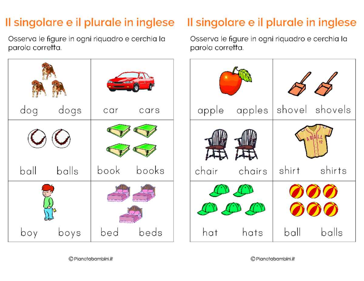 Esercizi Singolare Plurale Inglese - II singolare e il plurale in