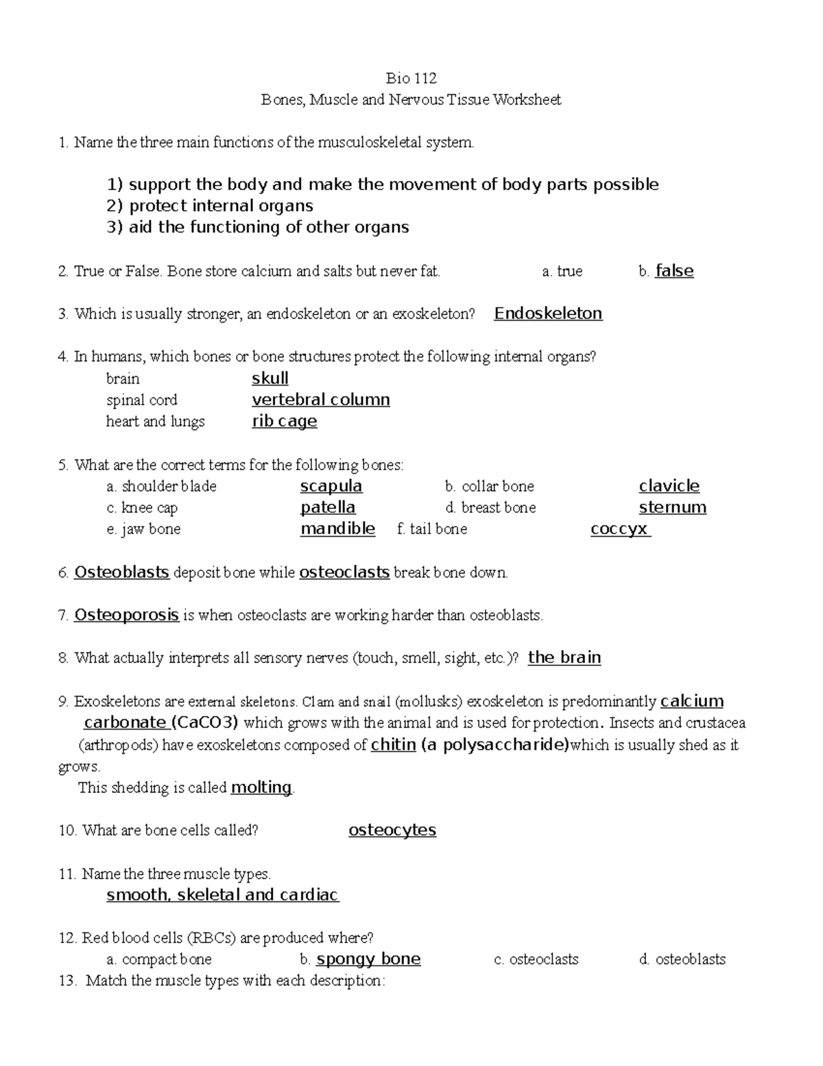 bones-muscles-and-nervous-tissue-worksheet-answers-bio-112-bones-muscle-and-nervous-tissue