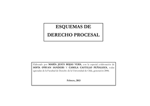 9788415948971-1 - Resumen Manual De Derecho Procesal Penal - JORDI ...