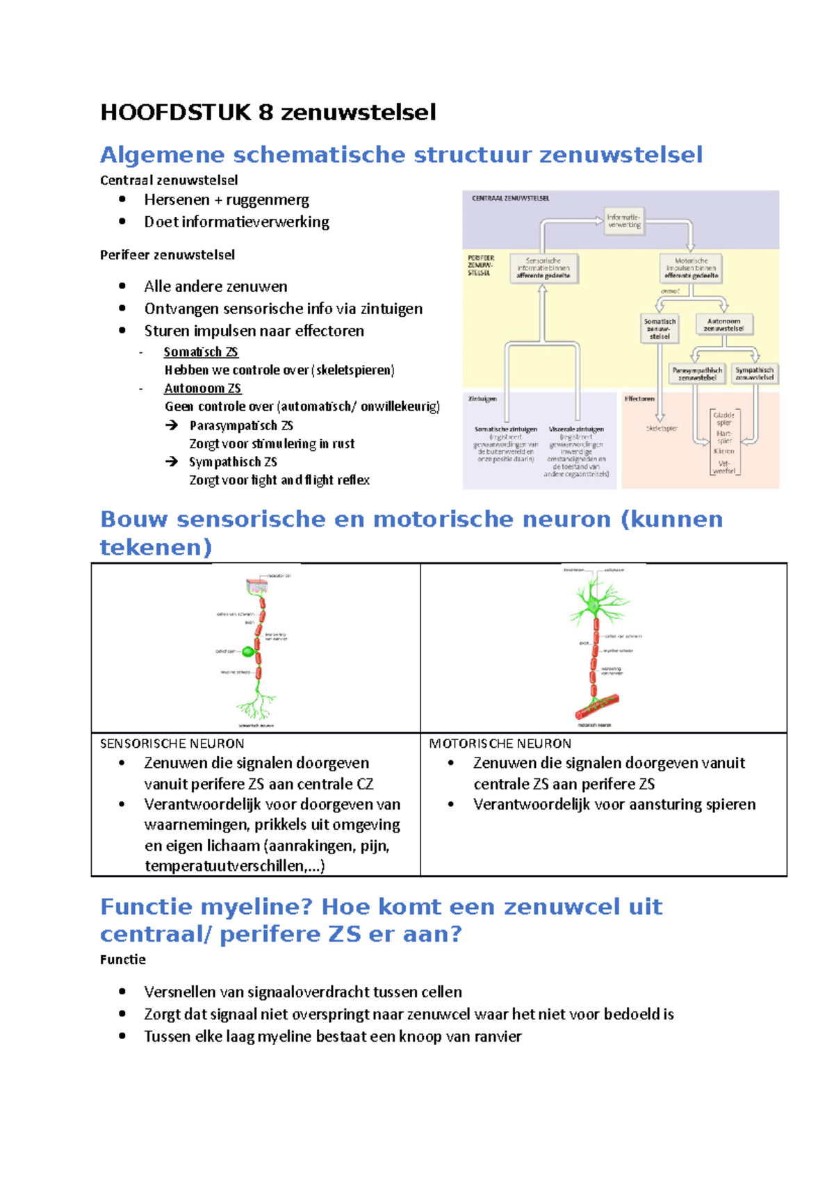 Hoofdstuk 8 Zenuwstelsel - HOOFDSTUK 8 Zenuwstelsel Algemene ...