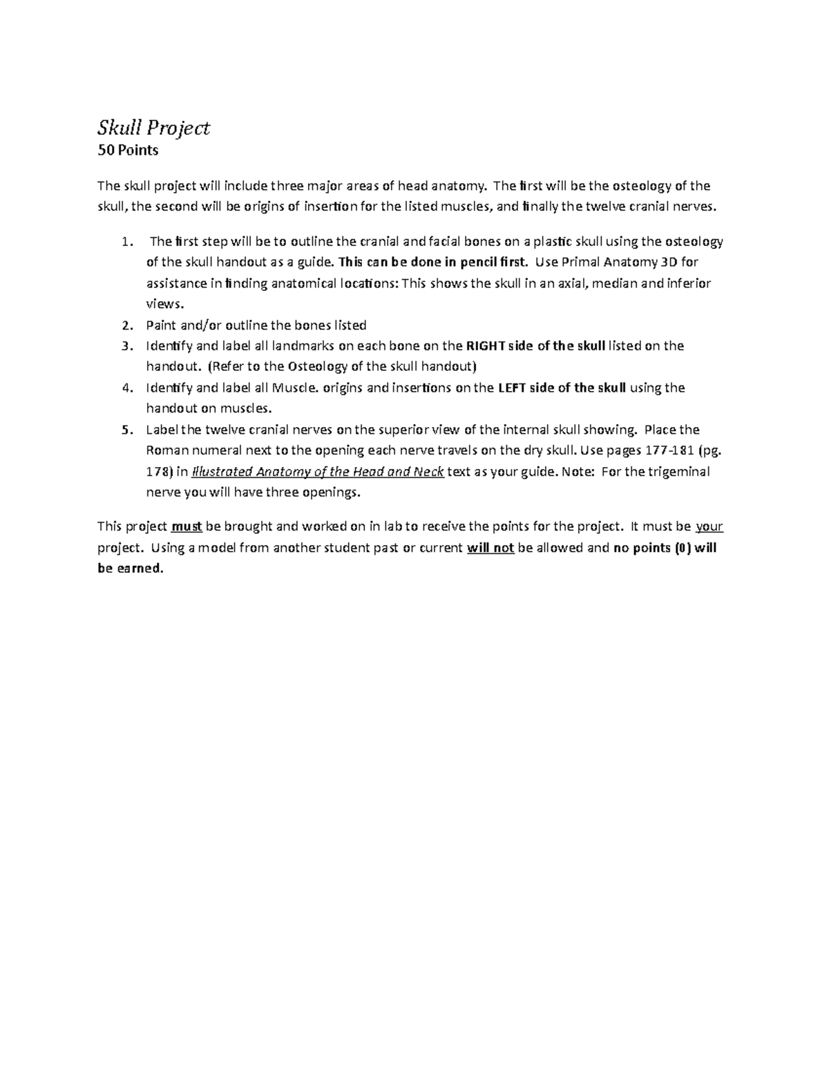 Skull Project Instructions - Skull Project 50 Points The skull project ...