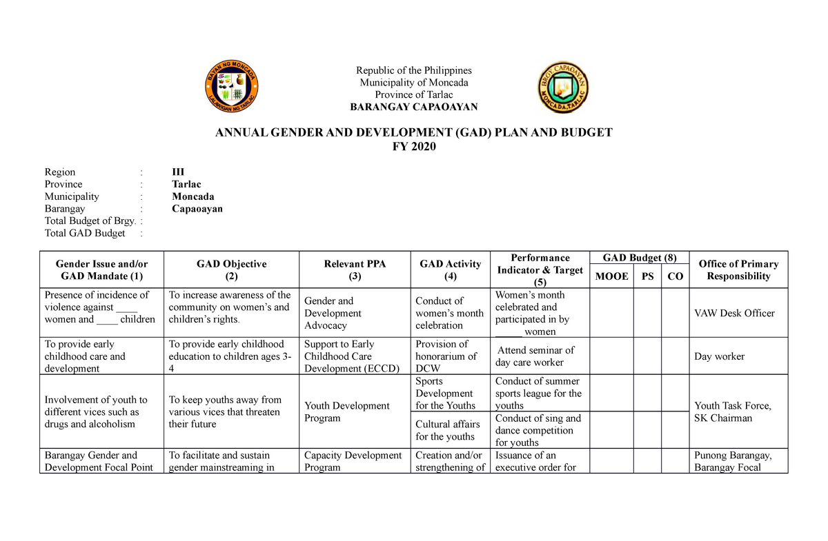 Sample Of Gad Plan And Budget