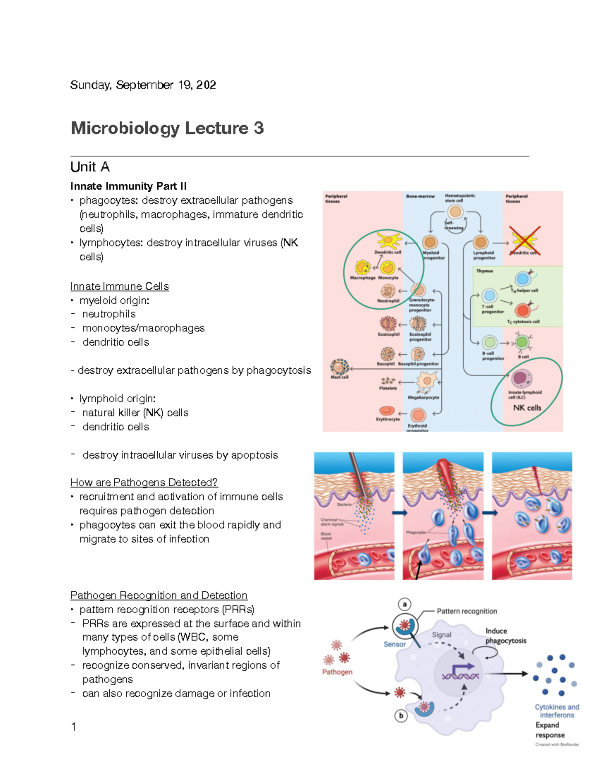 Microbiology Lecture 3 - Sunday, September 19, 202 Microbiology Lecture ...