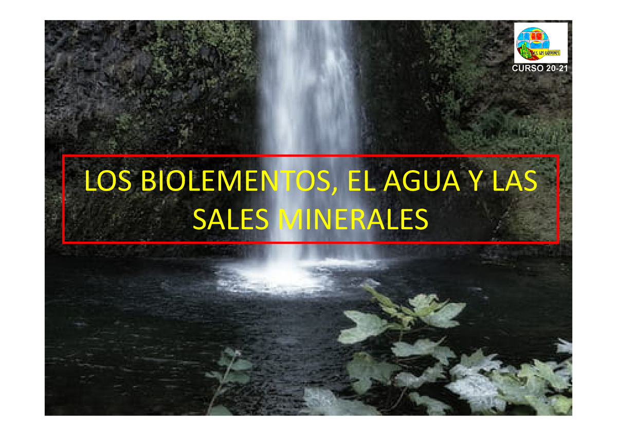 Tema 1 Bioelementos, Biomoléculas, Agua, Sales Minerales, Glúcidos ...