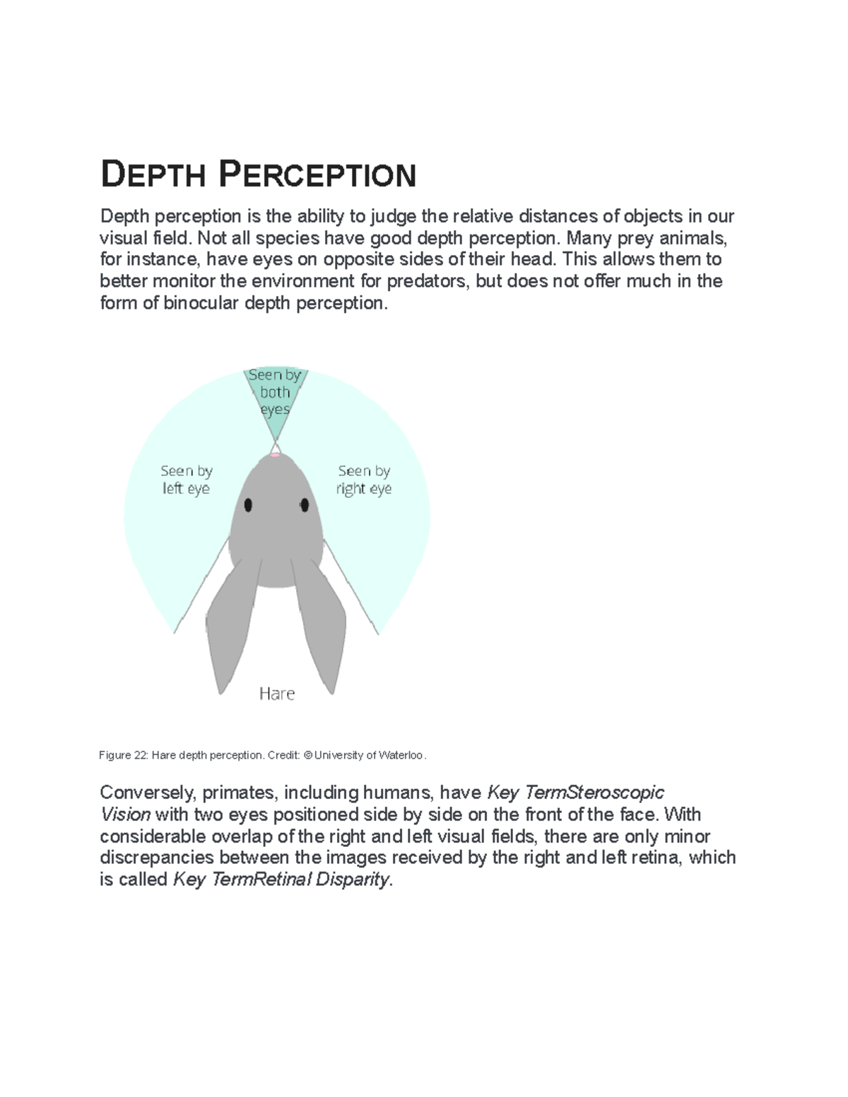 Depth Perception - Lecture notes 3 - DEPTH PERCEPTION Depth perception