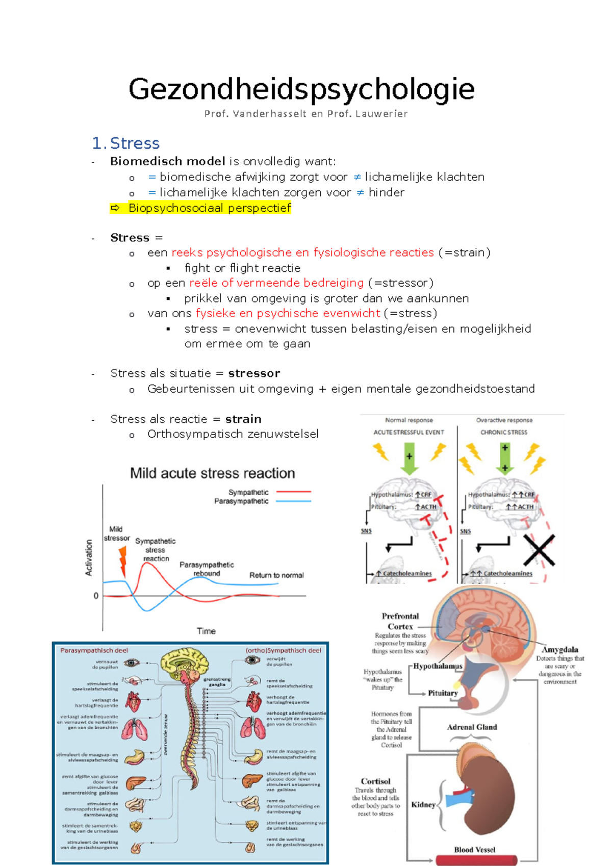 Samenvatting Gezondheidspsychologie Prof. Vanderhasselt Prof. Lauwerier ...