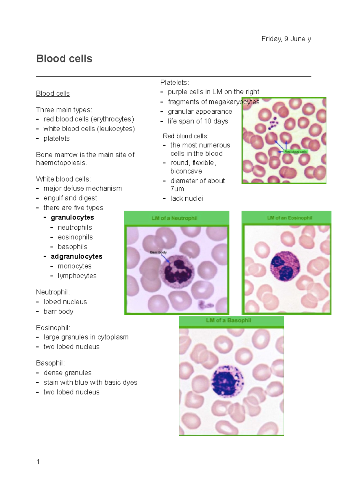 Blood-cells - Blood-cells - Friday, 9 June y Blood cells Blood cells ...