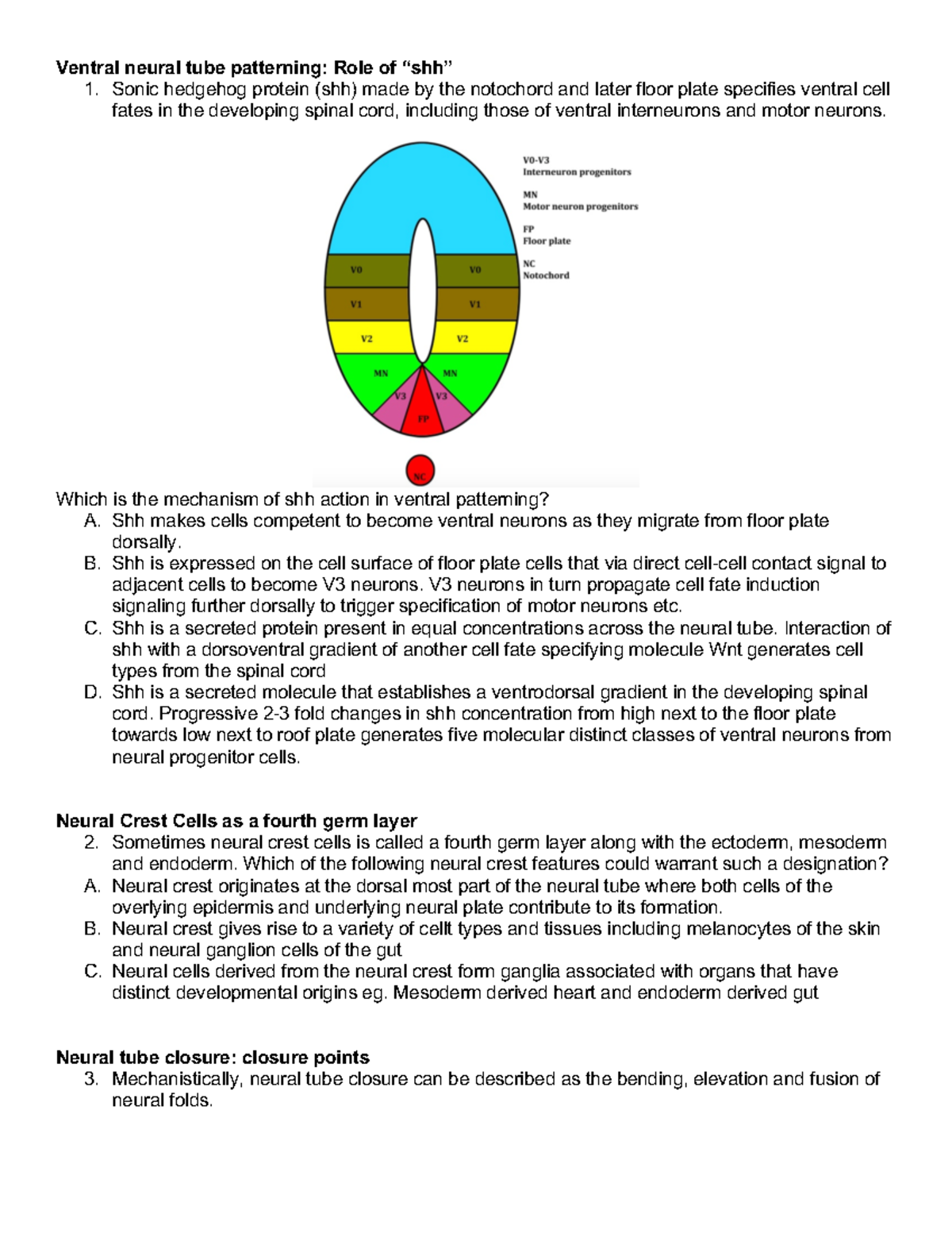 Practice questions neural development - Ventral neural tube patterning ...