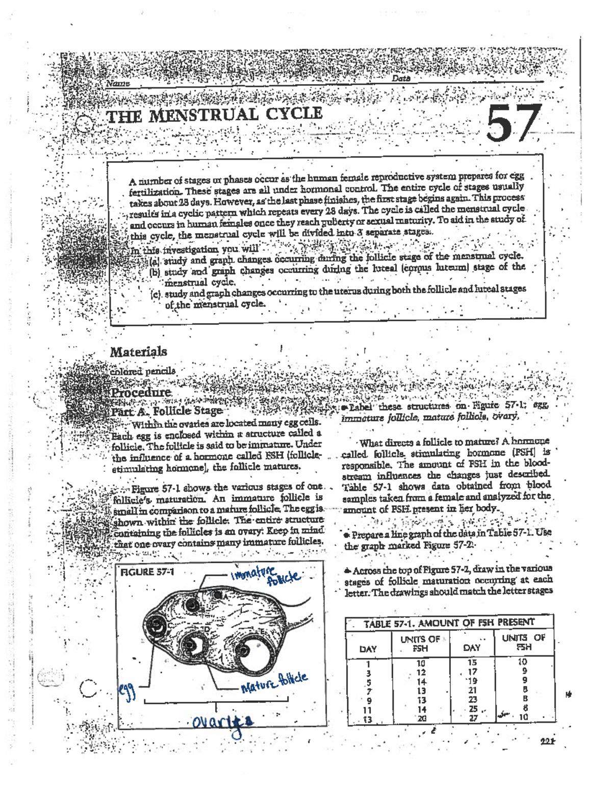 Menstrual cycle lab KEY BSC2085 Studocu
