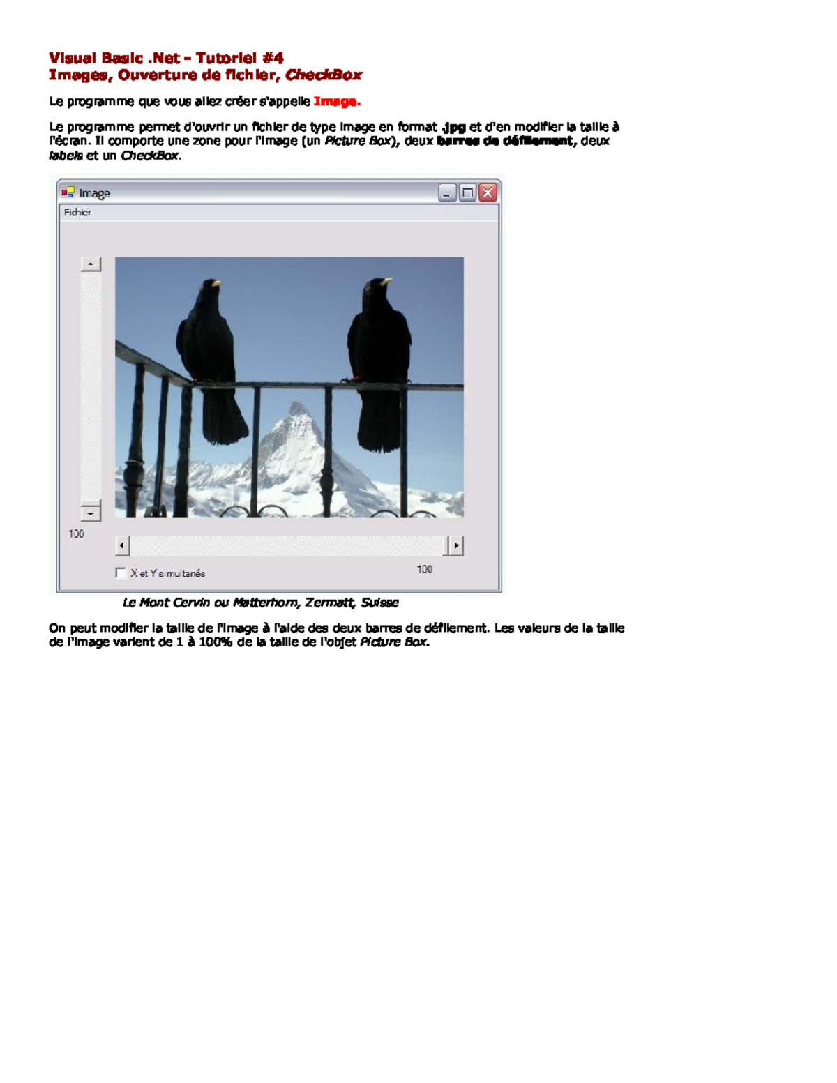 Tutoriel 4 - Modification Image - Visual Basic - - Studocu