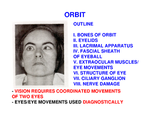 The Accessory Nerve (CN XI) - Course - Motor - Teach Me Anatomy - The ...