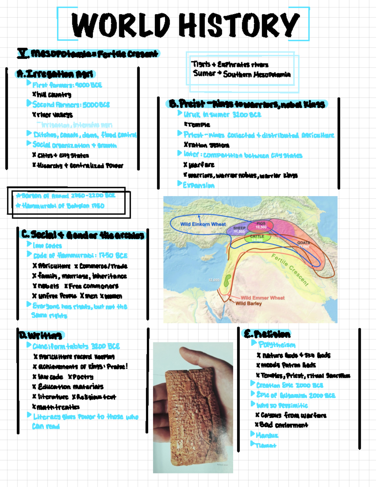 Class Notes - WORLD HISTORY V. Mesopotamia -_ Fertile crescent Tigris ...