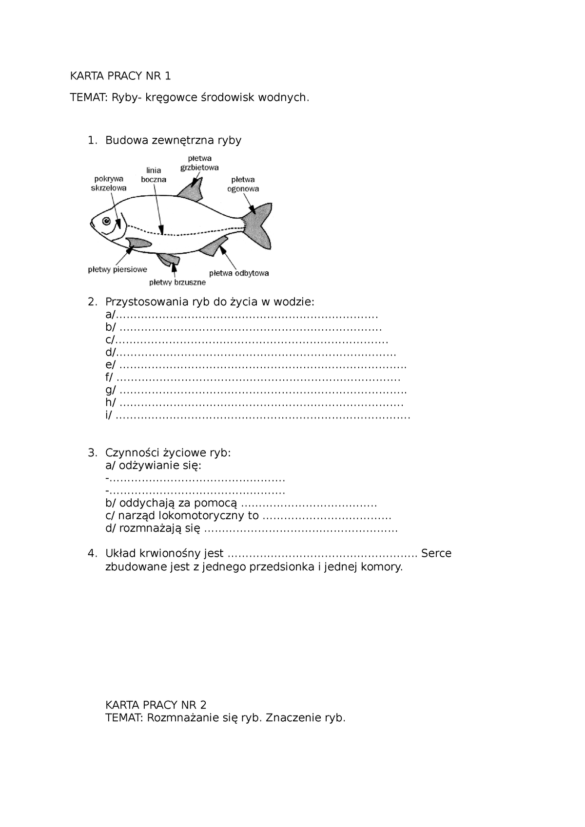 WAŻNEbiologia spr u r KARTA PRACY NR TEMAT Ryby kręgowce środowisk wodnych Budowa