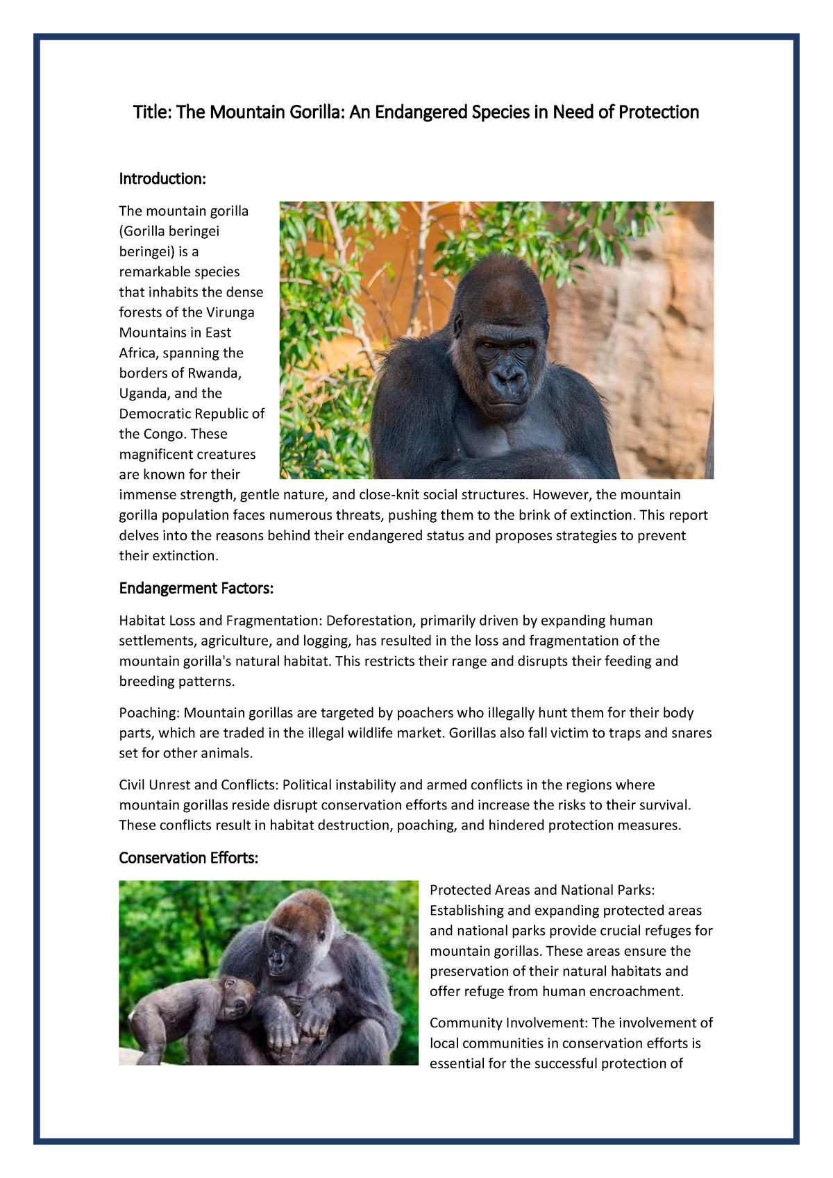 Trabajo Final ingles - Title: The Mountain Gorilla: An Endangered ...