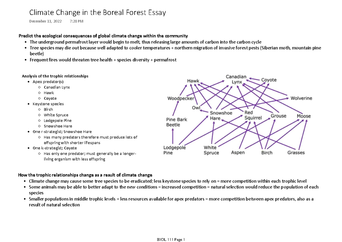 Climate Change in the Boreal Forest Essay - Predict the ecological ...