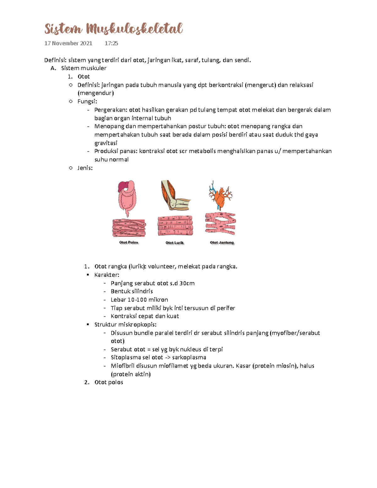 Sistem Muskuloskeletal - Definisi: Sistem Yang Terdiri Dari Otot ...