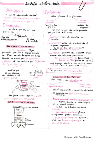Cerebellum lecture - The function of the cerebellum depends on its ...