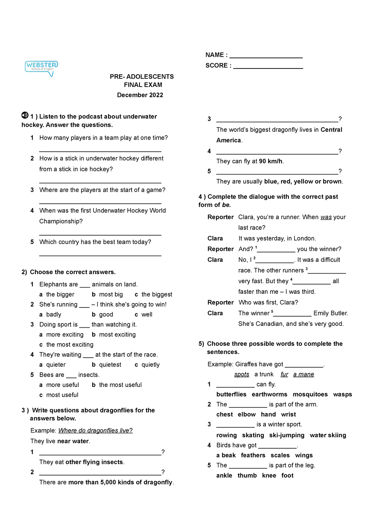 Pre- Intermediate Exam (Practice) - PRE- ADOLESCENTS FINAL EXAM ...