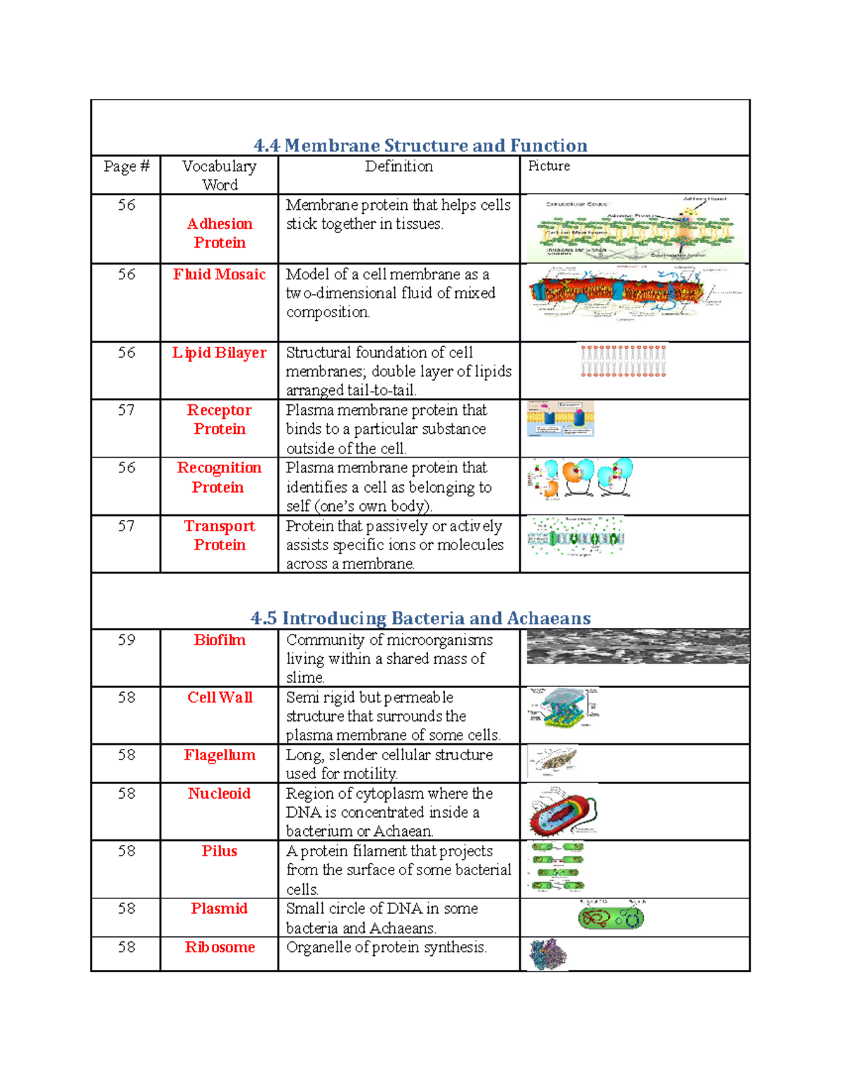 4.4and4 - Lecture notes 4.4and4.5and4.6 - 4 Membrane Structure and ...