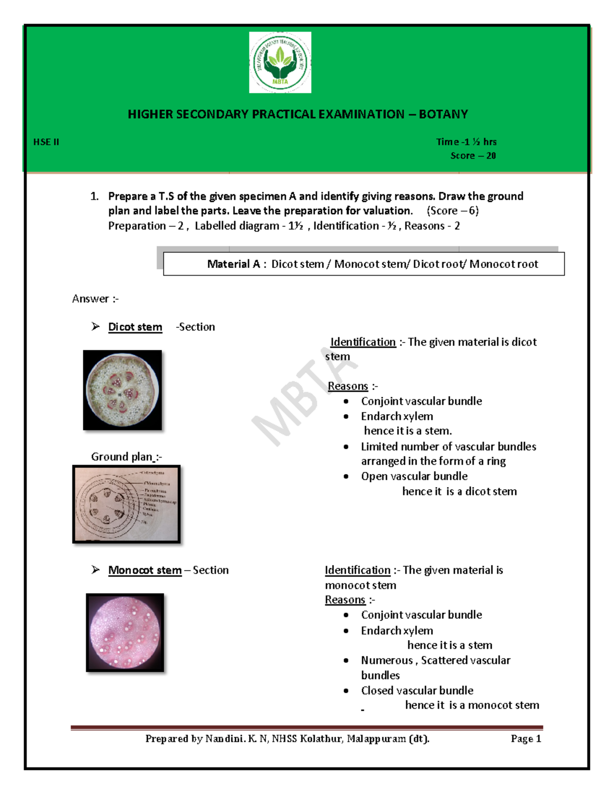 Botany Practical note - 2024 - 1. Prepare a T of the given specimen A ...