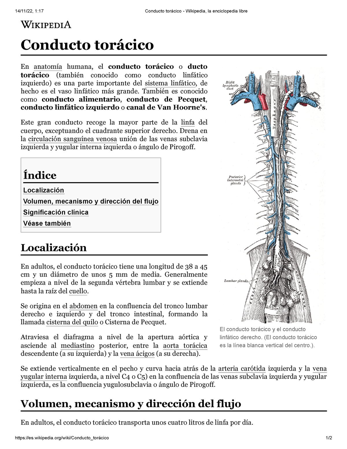 Sistema (anatomía) - Wikipedia, la enciclopedia libre