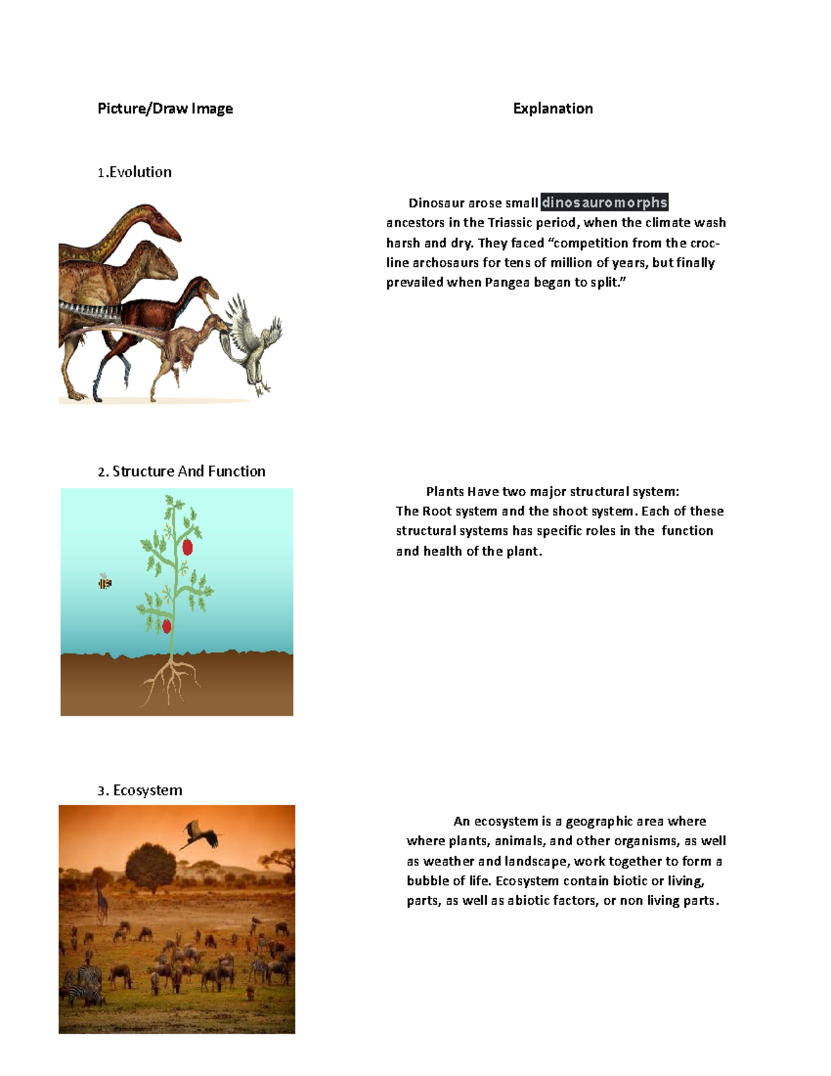 Dinosaur - project - Picture/Draw Image Explanation 1 .Evolution ...