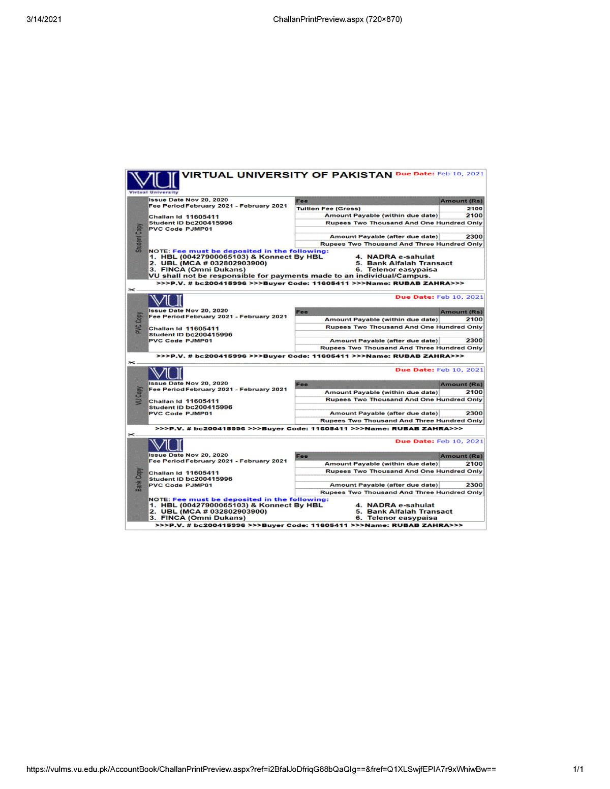 Challan Print Preview 2 computer science 3/14/2021