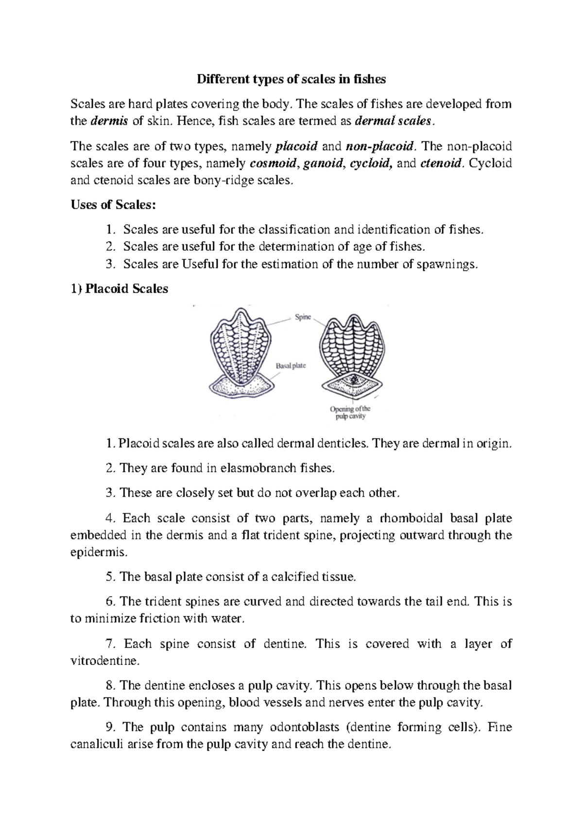 Vertebrates Practical Notes - Different types of scales in fishes ...