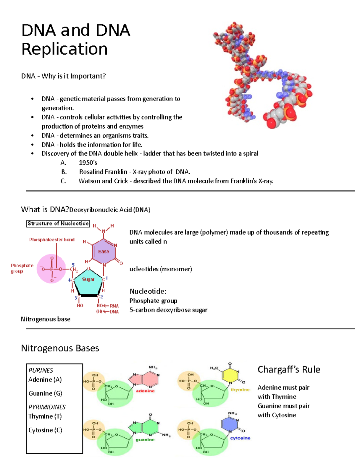 DNA and DNA Replication Extra notes - DNA and DNA Replication DNA - Why ...