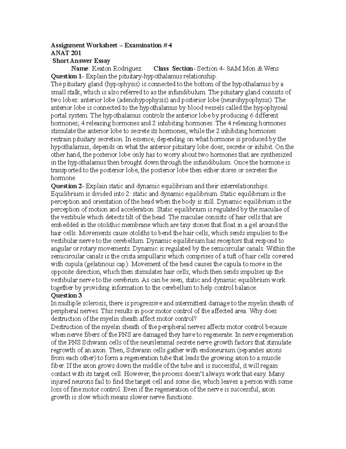 Extra credit assignment ardi essay sample essay 07 picture