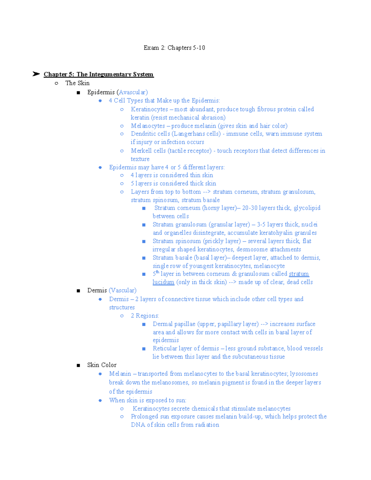 Anatomy Exam 2 Study Guide - Exam 2: Chapters 5- Chapter 5: The ...