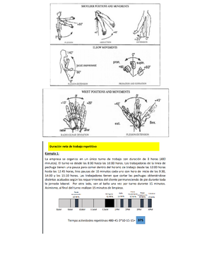 ISO tr 12295 2019 - iso para ergnomia - INTE/ISO/TR 12295:201 9 ...